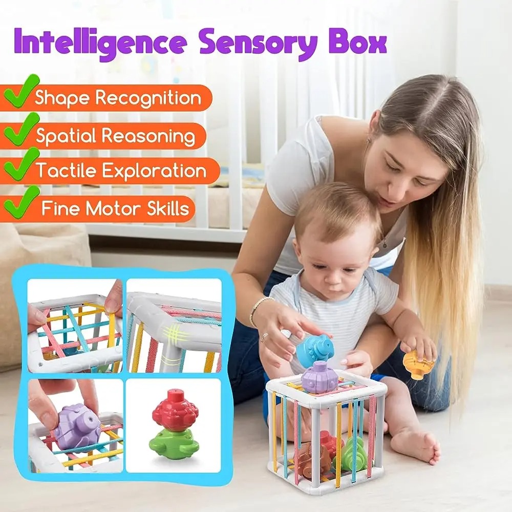 Regenboog Kleurrijke Montessor - Baby Products Toys recensie en prijs